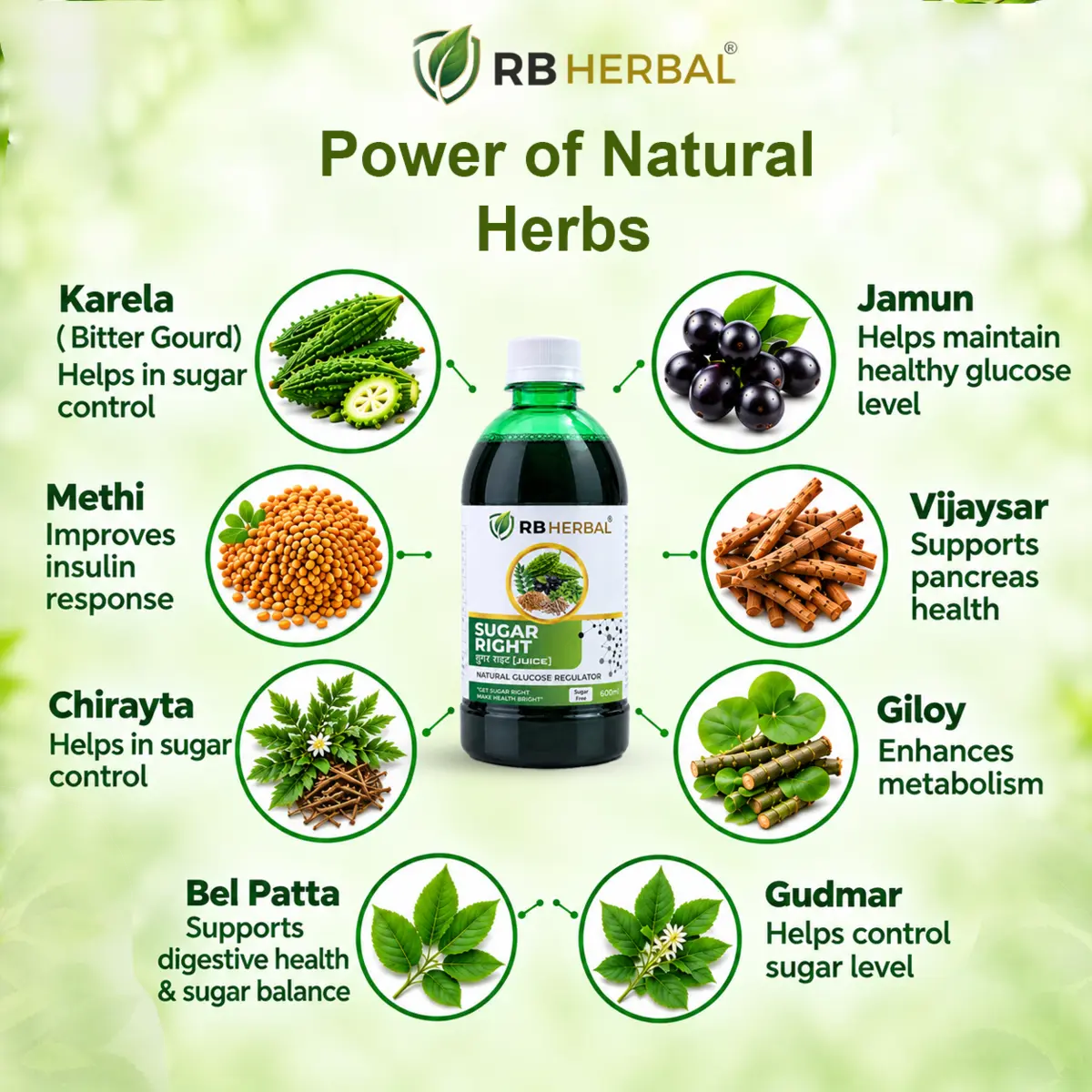 Sugar Right Juice herbal ingredient overview